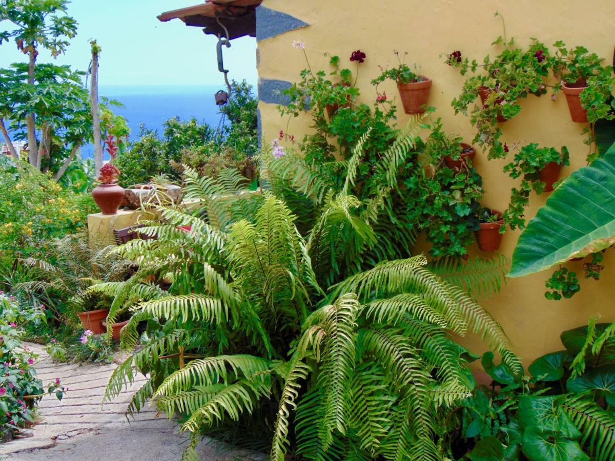 Casa Rosa Apartment ติคาราเฟ ภายนอก รูปภาพ